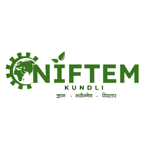 NIFTEM Logo